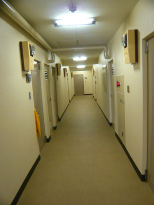 P1060595.jpg