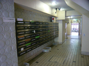 P1060629.jpg
