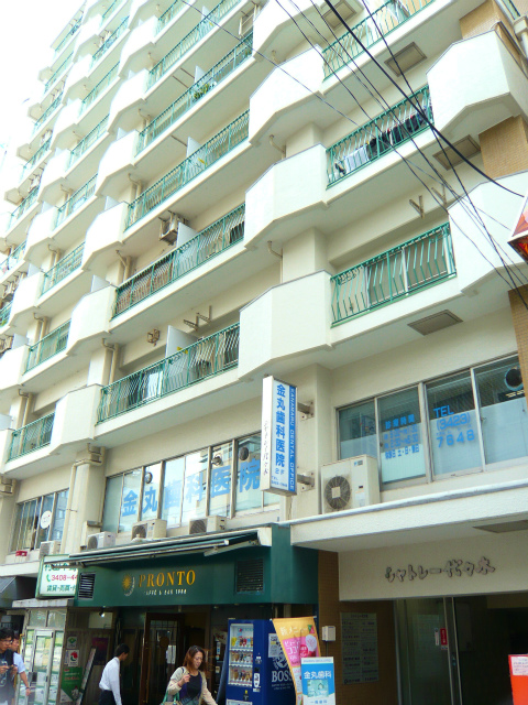 P1060633.jpg
