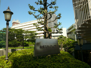 P1060846.jpg