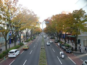 P1080015.jpg