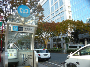 P1080030.jpg