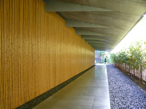 P1080243.jpg