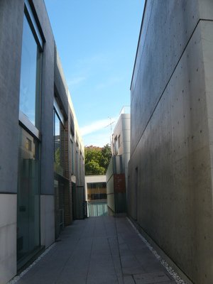 P1080246.jpg