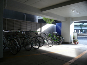 P1080254.jpg