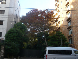 P1080326.jpg