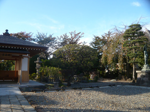 P1080329.jpg