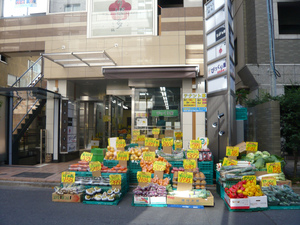 P1080337.jpg
