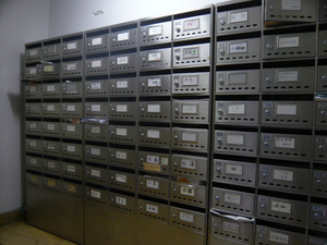 P1080346.jpg