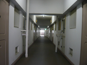 P1080348.jpg