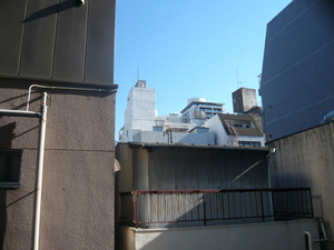 P1080381.jpg