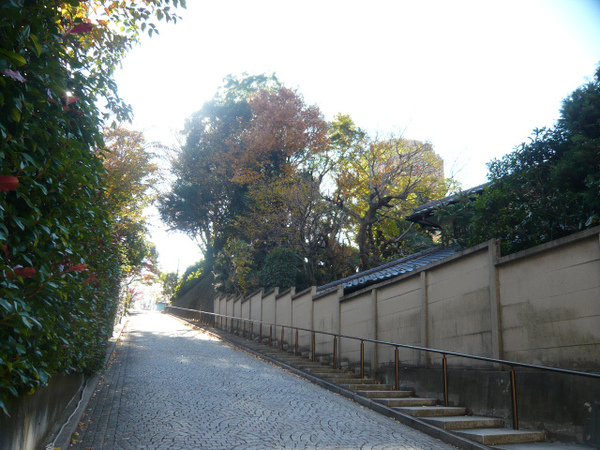 P1080420.jpg