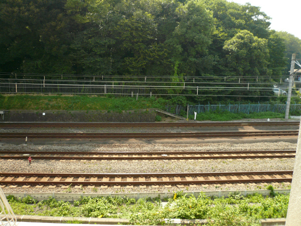 P1080498.jpg