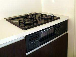 P1080513_2.jpg