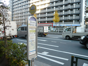 P1080536.jpg