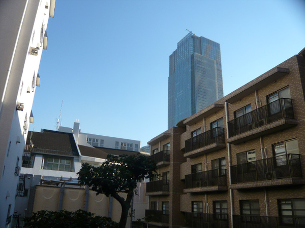 P1080634.jpg