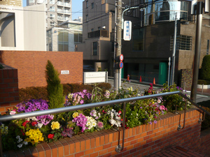 P1080780.jpg