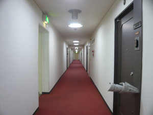 P1080785.jpg