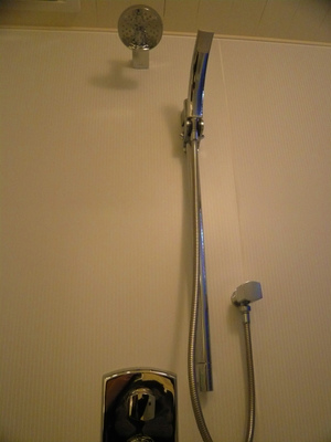P1080874.jpg