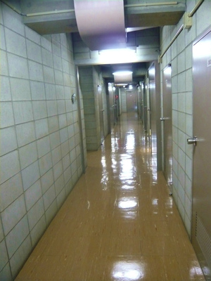 P1080923.jpg