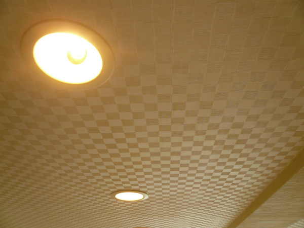 P1090097.jpg