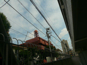 P1090186.jpg
