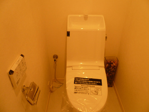 P1090390.jpg