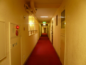 P1090428.jpg