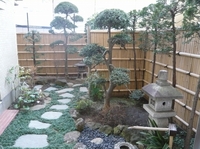 P1090434.jpg