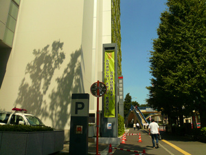 P1090695.jpg