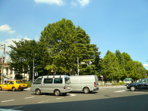 P1090703.jpg
