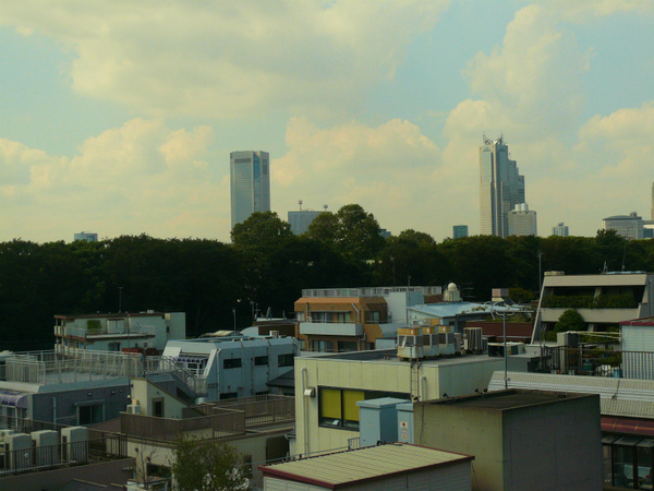 P1090714.jpg
