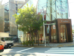 P1090777.jpg
