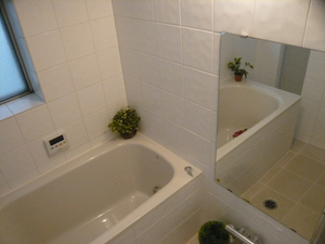 P1090811.jpg