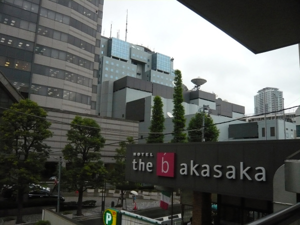 P1090829.jpg
