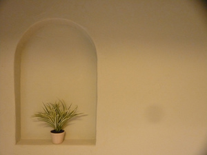 P1090837.jpg