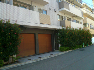 P1100041.jpg