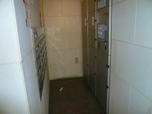 P1100045.jpg