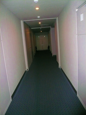 P1100054.jpg