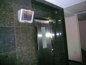 P1100104.jpg