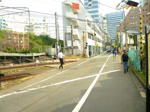 P1100166.jpg