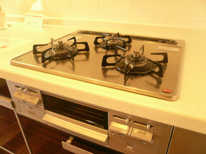 P1100247.jpg