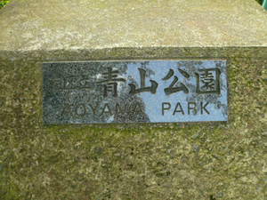 P1100297.jpg