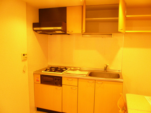 P1100428.jpg