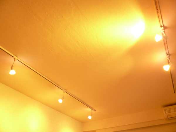 P1100435.jpg
