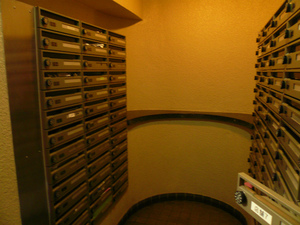 P1100471.jpg