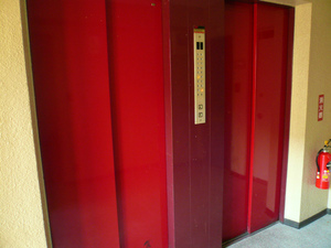 P1100476.jpg