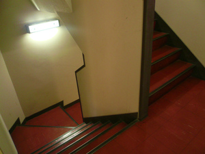 P1100478.jpg