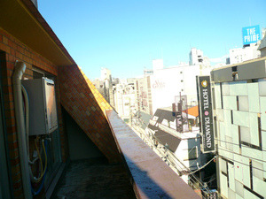 P1100494.jpg