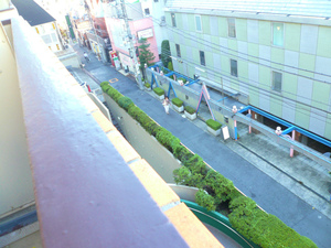 P1100497.jpg